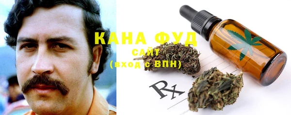 ГАЛЛЮЦИНОГЕННЫЕ ГРИБЫ Алзамай
