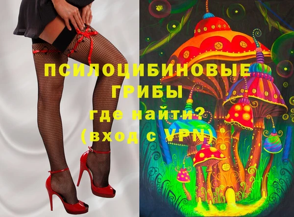 ГАЛЛЮЦИНОГЕННЫЕ ГРИБЫ Алзамай