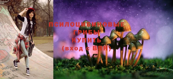 ГАЛЛЮЦИНОГЕННЫЕ ГРИБЫ Алзамай
