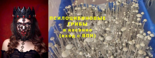 дживик Алексеевка