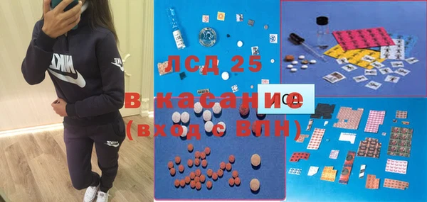 ГАЛЛЮЦИНОГЕННЫЕ ГРИБЫ Алзамай
