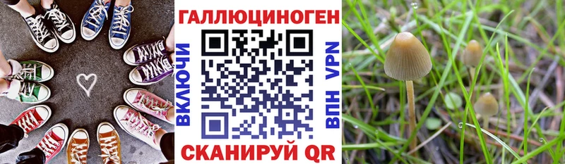 Псилоцибиновые грибы GOLDEN TEACHER  купить закладку  Нурлат 
